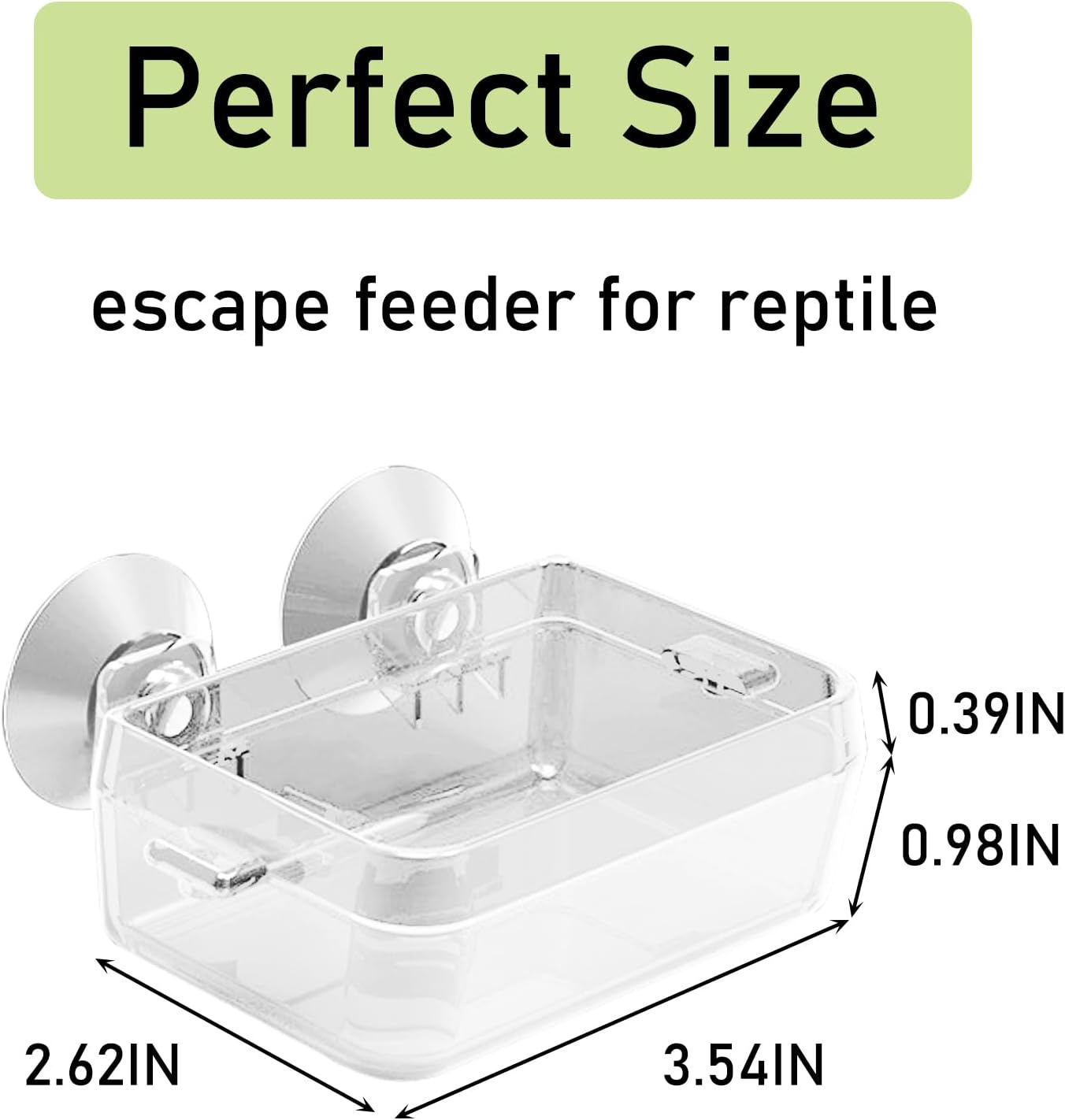 Tfwadmx 2 Pcs Chameleon Bowl, Reptile Feeding Food, Water Dish Gecko Worm Feeder Anti-Escape Chameleon Supplies Accessories for Lizard Bearded Dragon Snakes