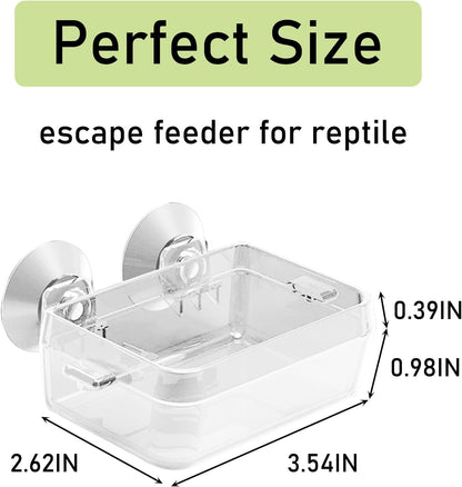 Tfwadmx 2 Pcs Chameleon Bowl, Reptile Feeding Food, Water Dish Gecko Worm Feeder Anti-Escape Chameleon Supplies Accessories for Lizard Bearded Dragon Snakes