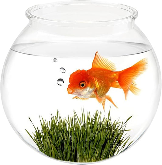 Small Aquarium Fish Bowl Round Terrarium Bowl Home Office Table Decor Transparent Plastic Tank for Betta Fish, Goldfish