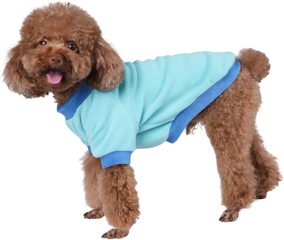 GreenJoy Classic Fleece Dog Sweater – Soft & Warm Stretchy Sweatshirt for Small Dogs & Cats, Cold-Weather Pullover for Everyday Wear (Light Blue, Medium/Large)