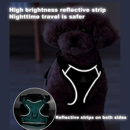 SOLMOONY Small Dog Harness,Soft Mesh Puppy Harness and Leash Set,No Escape Cat Harnesses for Training Walking,Reflective Adjustable Puppy Vest for Small Medium Dogs, Cats (Turquoise, L)