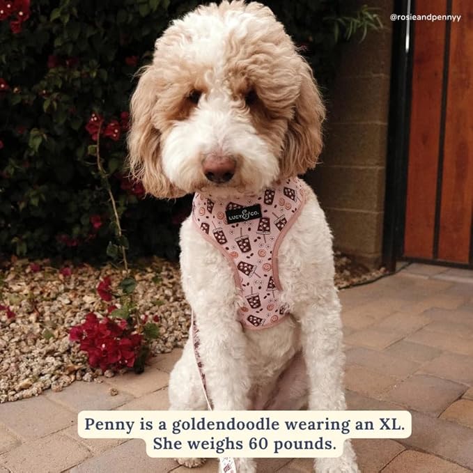 Lucy & Co. Cute Reversible Dog Harness Walking Halter - Best Designer Pet Harnesses for XS - XL Dogs - Padded Adjustable Vest for Easy Walking (X-Large, Merry & Bright)