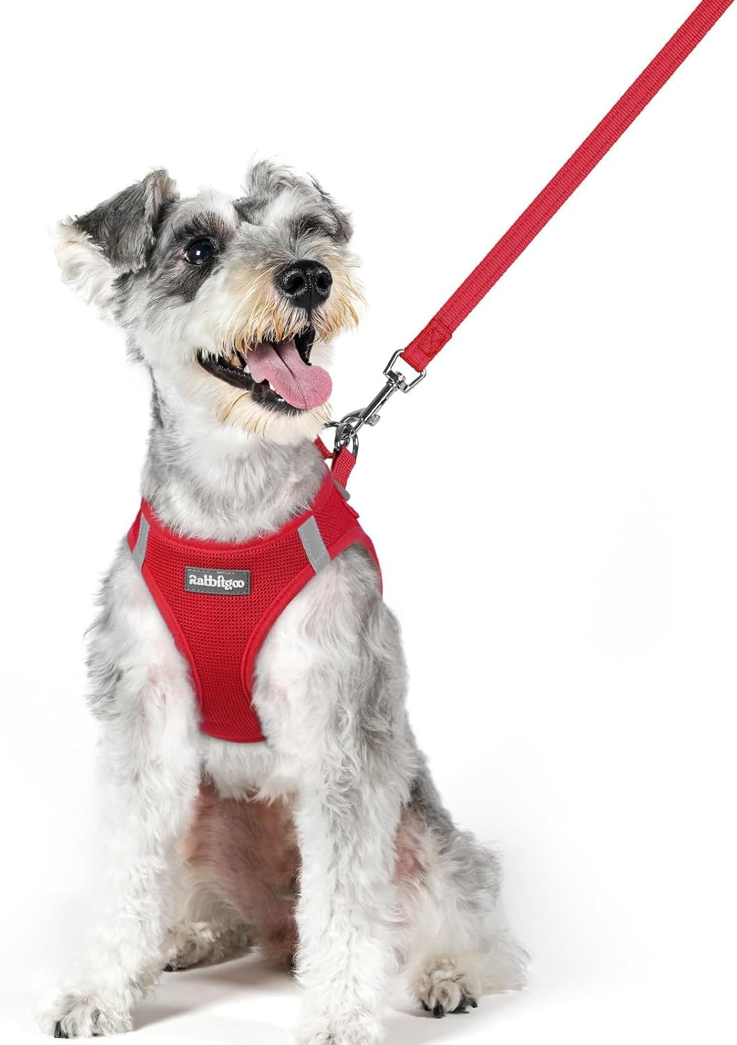 rabbitgoo Dog Harness Small Sized and Leash Set, Step in Soft Light Puppy Vest, Breathable Mesh Pet Harness, Reflective for Outdoor Safe Walking, Red XL