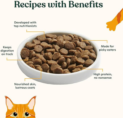 Made by Nacho Dry Cat Kibble 11lb Bag, High Protein and Grain-Friendly Premium Cat Food, Sustainably Caught Salmon and Pumpkin, Infused with Bone Broth for Hydration, Limited Ingredients, Single Bag
