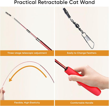 Cat Toys for Indoor Cats, 13 Packs Interactive Cat Wand Toy Set with Feather Toys & Teasers, Fun Cat Toys for Exercise, Playtime and Boredom Relief