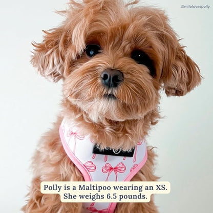 Lucy & Co. Cute Reversible Dog Harness Walking Halter - Best Designer Pet Harnesses for XS - XL Dogs - Padded Adjustable Vest for Easy Walking (Medium, Ballet Bows - White & Pink Bows)