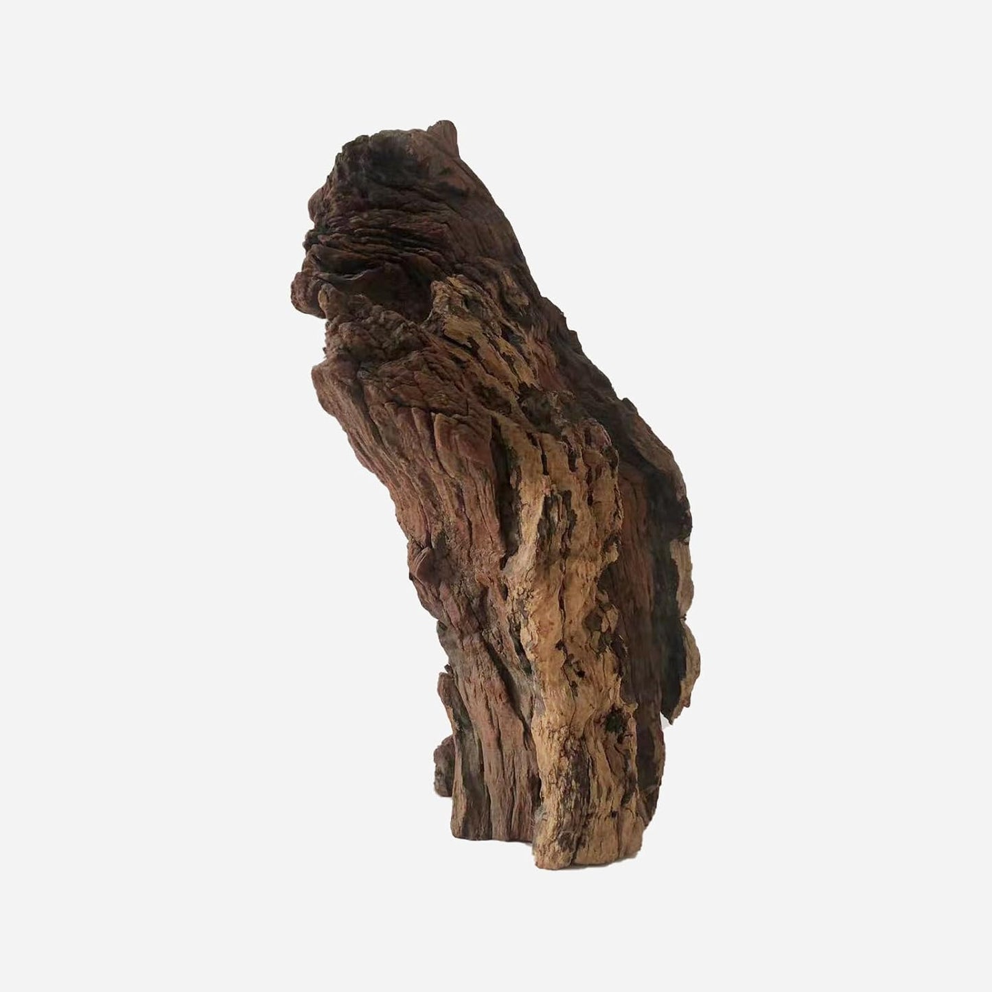 LYPHARD AQUARIUMS Natural Driftwood for Aquarium Decor, L9.84×W5.91×H14.17 Inches Large Drift Wood Decorations for Reptile Hide, Fish Tank, Optional Shapes