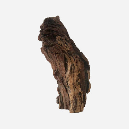 LYPHARD AQUARIUMS Natural Driftwood for Aquarium Decor, L9.84×W5.91×H14.17 Inches Large Drift Wood Decorations for Reptile Hide, Fish Tank, Optional Shapes