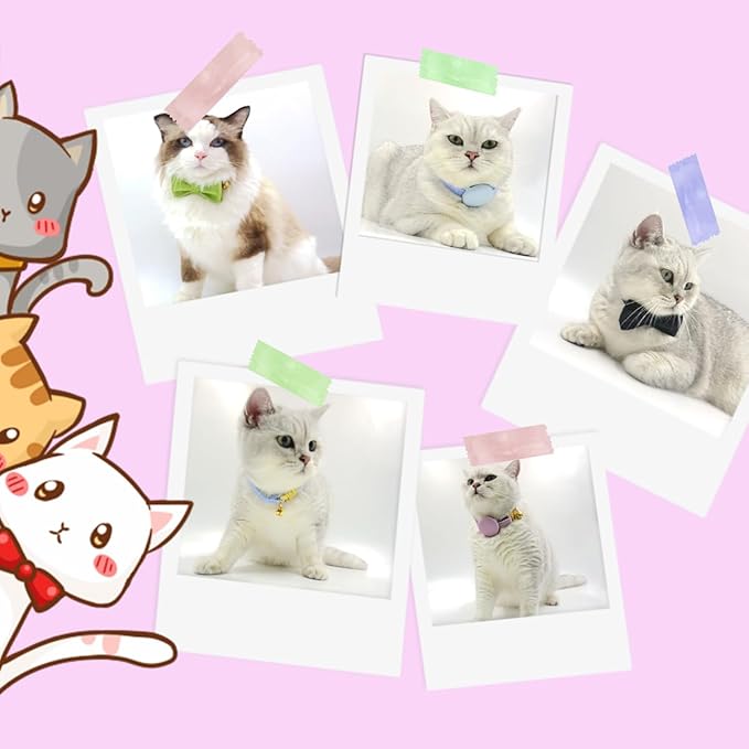 Personalized Cat Collar with Pet Name Phone Number Engraved Metal Buckle Personalized Adjustable Velvet Cat ID Collars with Bell for Kids and