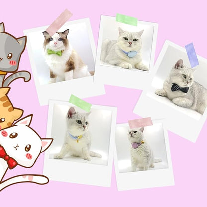 Personalized Cat Collar with Pet Name Phone Number Engraved Metal Buckle Personalized Adjustable Velvet Cat ID Collars with Bell for Kids and