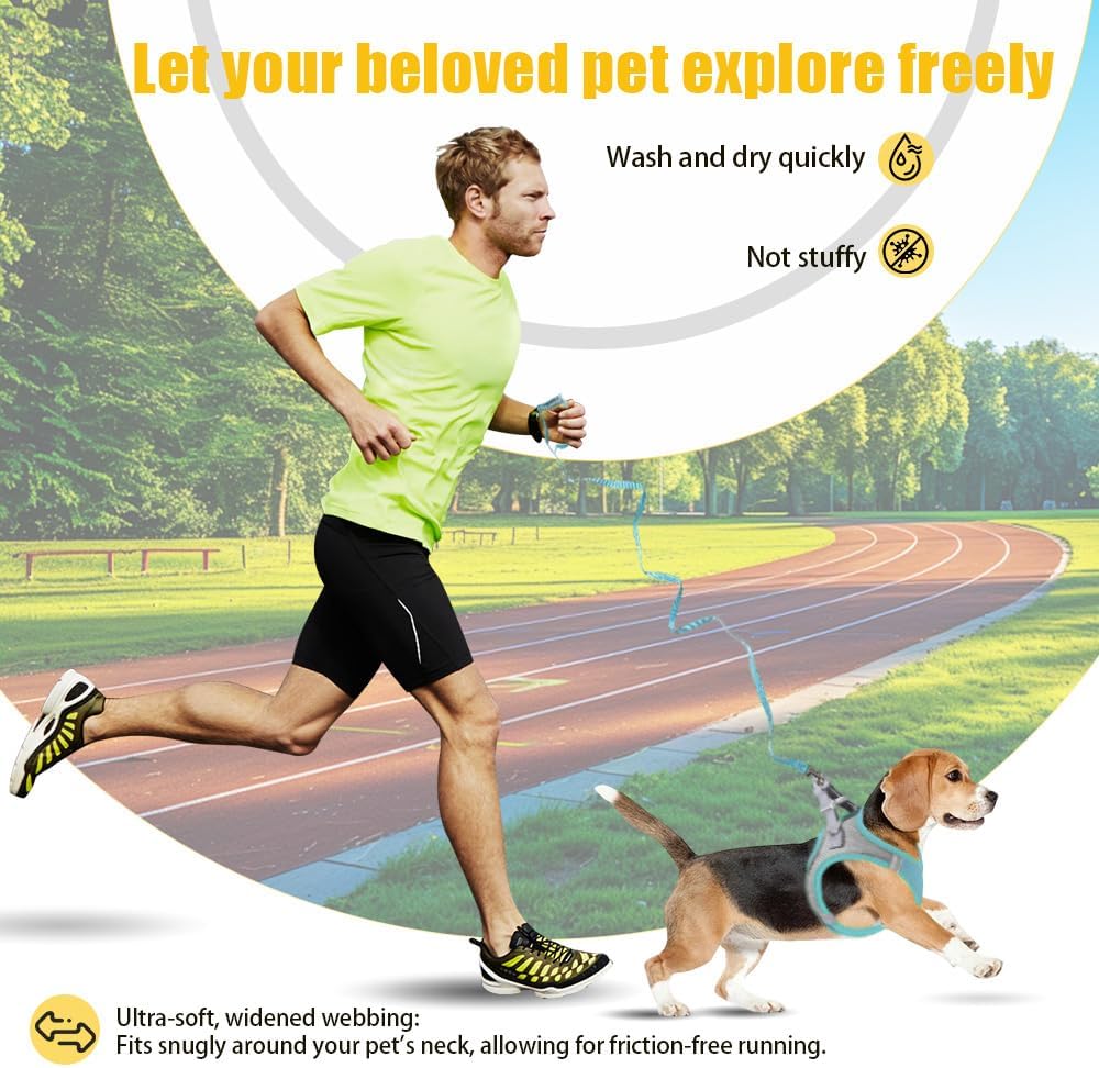 No Pull Dog Harness with Leash Set - Adjustable Reflective Step-in Puppy Vest for Small Medium Dogs & Cats, Blue M - Escape Proof Soft Mesh Comfort Harness for Walking, Choke Free Pet Safety