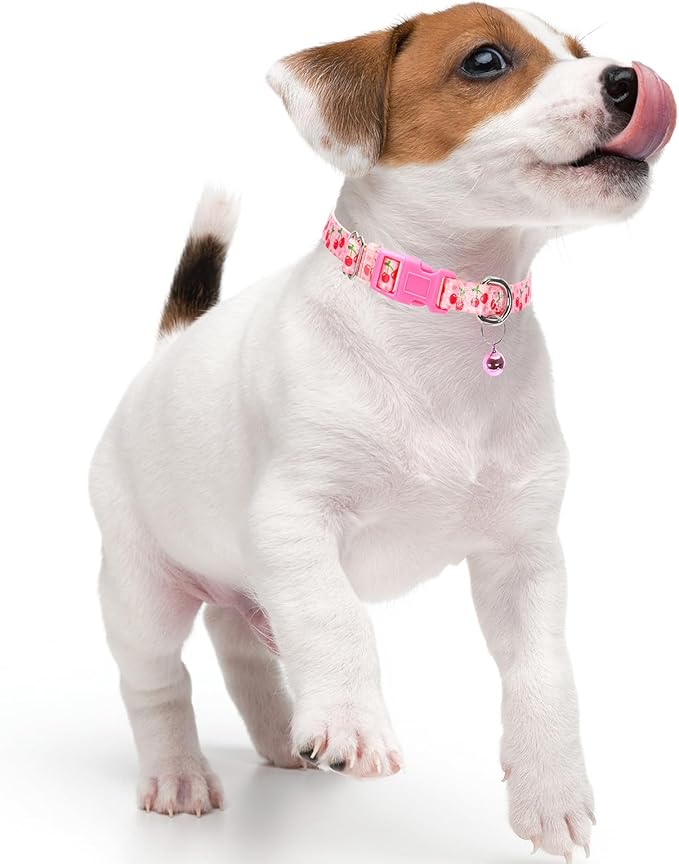 Cute Small Dog Collar with Bell,Pink Cherry Puppy Collar Tiny Cat Collars with Bells for XS Small Pet boy and Girl Dogs Kitten Little Animal,Small