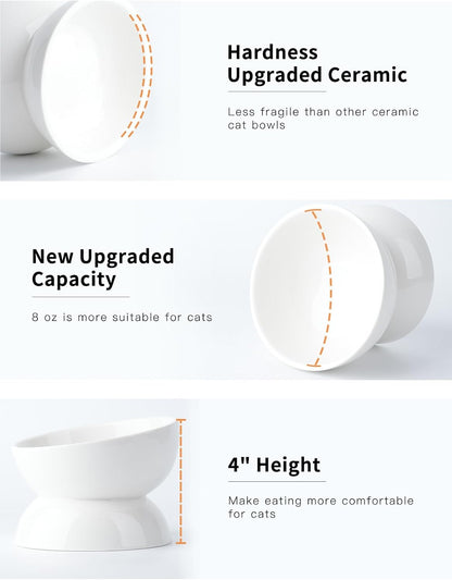 Cat Water Bowl, 16 OZ Ceramic Elevated Cat Bowls, 15° Tilted and Raised Pet Food Dish, Anti Vomiting Protect Pets' Spines and Whisker Fatigue