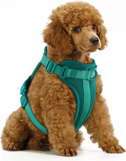 Wisedog No Pull Lightweight Dog Vest Harness with Soft and Comfortable Cushion, Breathable Mesh, for Small Medium Large Dogs Walking (XS(Neck: 7.48"-10.63";Chest: 10.63"-15.35"), Emerald Green)