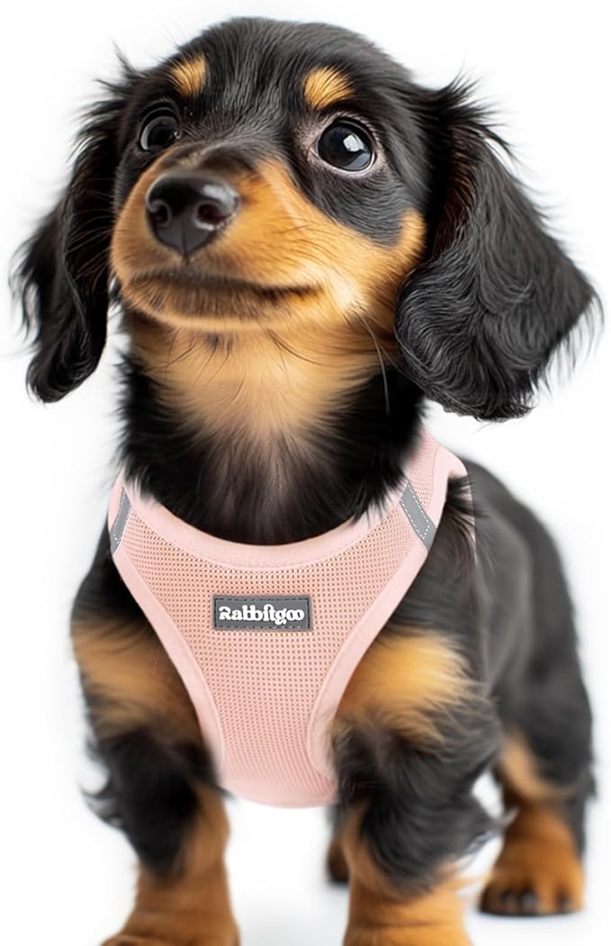 rabbitgoo Small Dog Harness, Step-in Soft Mesh Puppy Vest with Safety Buckle, Breathable Reflective Pet Harness for Extra Small Dogs, Pink XXS