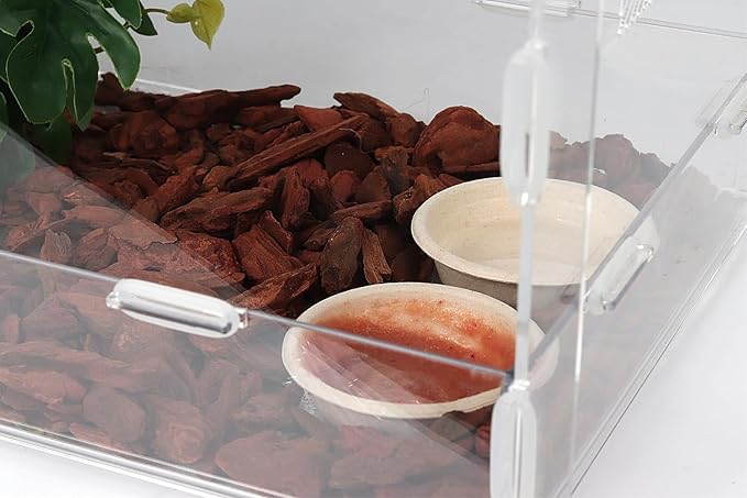 100Pcs 1oz Biodegradable Crested Gecko Food Cups fit Reptile Food Dish or Water Bowl