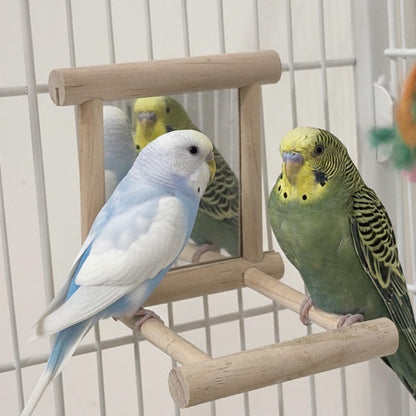Bird Mirror Toy for Parakeet, Budgie, and Lovebirds - MINI-FACTORY Safe Enrichment Cage Accessory with Natural Wood Perch for Small & Medium Birds