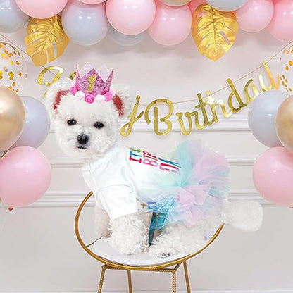 ANIAC Dog Birthday Dress and Hat Set Puppy Lace Tutu Pink Pet Crown Hat with 0-9 Figures Birthday Outfit for Cats Small Dog (White+Pink, Small)