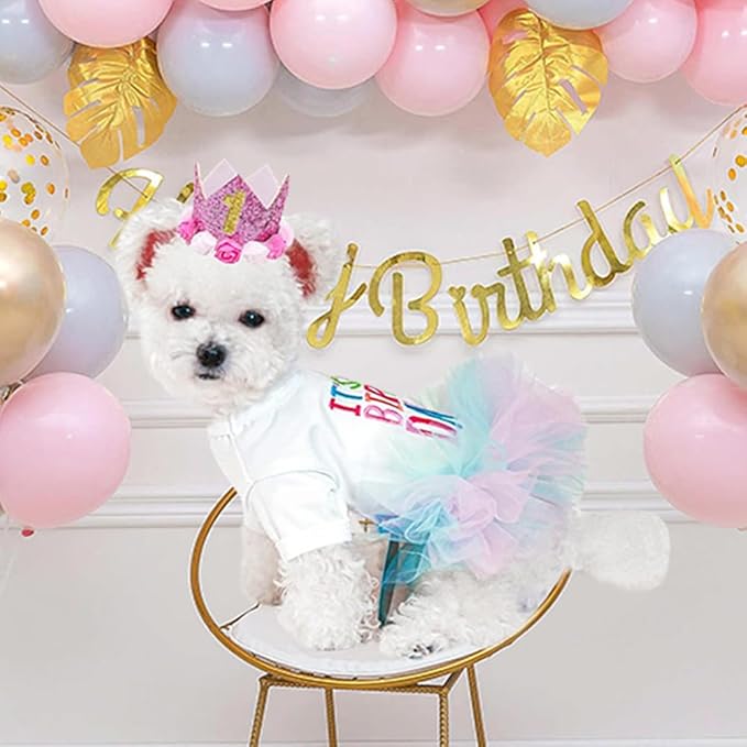 ANIAC Dog Birthday Dress and Hat Set Puppy Lace Tutu Pink Pet Crown Hat with 0-9 Figures Birthday Outfit for Cats Small Dog (White+Pink,X-Large)