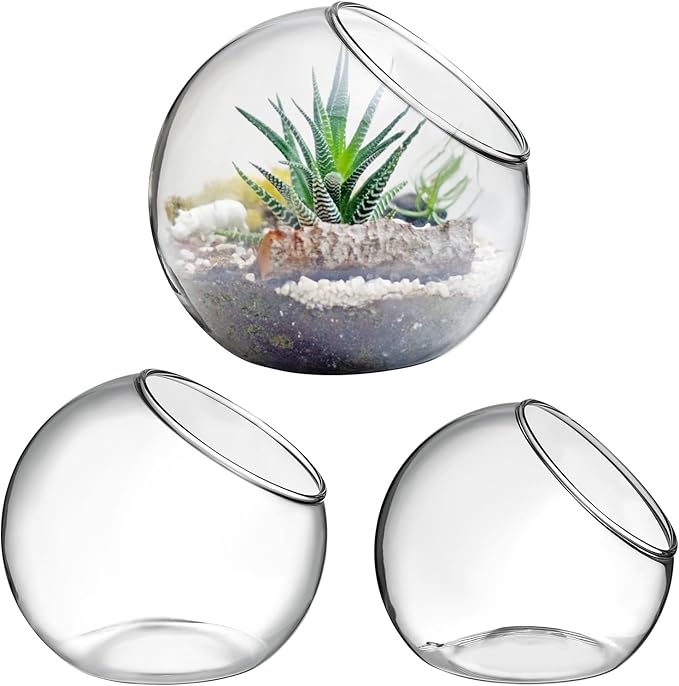 3PCS Glass Terrariums for Plants Glass Fish Bowls Plant Terrarium Air Plant Planter Desktop Bubble Bowls Clear Vases Air Plants Holders Succulent Terrarium