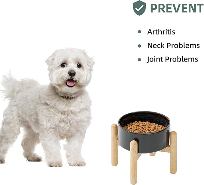 Ceramic 6.1inch Raised Dog Bowl with Stand for Small and Medium Dog Dish Pet Food and Water Bowl (Single Bowl with Stand - Starry Sky)