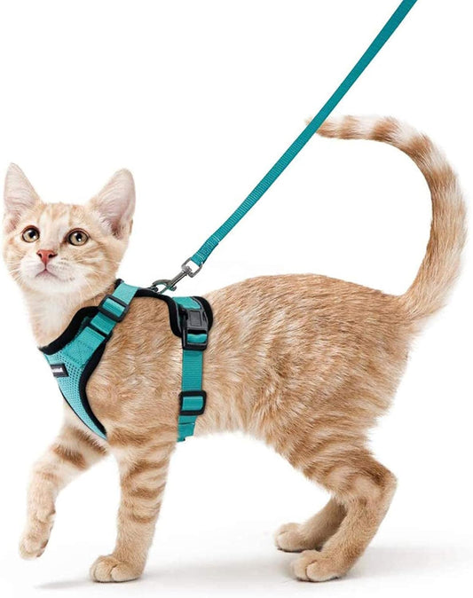 rabbitgoo Cat Harness and Leash for Walking, Escape Proof Soft Adjustable Vest Harnesses for Cats, Easy Control Breathable Reflective Strips Jacket, Emerald, S