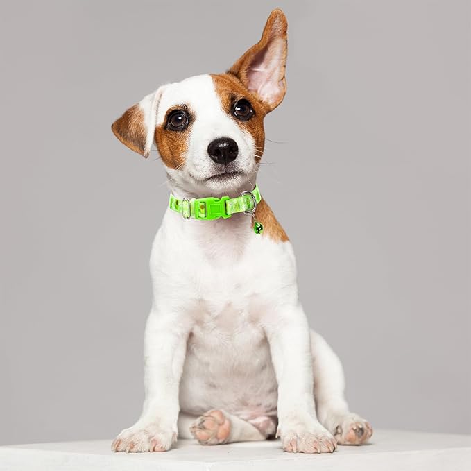 Avocado Small Dog Collar with Bell, Soft Adjustable Green Avocado Puppy Collar Tiny Cat Collars with Bells for XS Small Girl and boy Dogs Little Animal,S