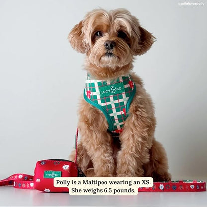 Lucy & Co. Cute Reversible Dog Harness Walking Halter - Best Designer Pet Harnesses for XS - XL Dogs - Padded Adjustable Vest for Easy Walking- Happy Howlidays - Seasonal - Small