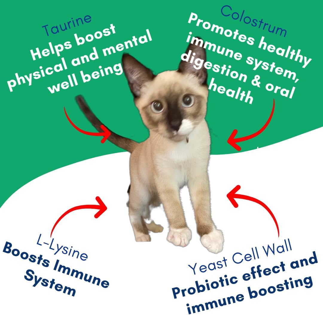 Kitty Up Lickable Cat Treats - Vitality Chicken Puree Squeeze Tubes with Lysine, Taurine & Beta Glucan | Immune Support for Indoor Cats (12 Pack)