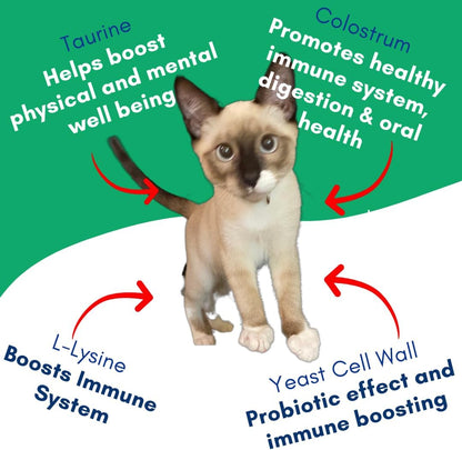 Kitty Up Lickable Cat Treats - Vitality Chicken Puree Squeeze Tubes with Lysine, Taurine & Beta Glucan | Immune Support for Indoor Cats (12 Pack)