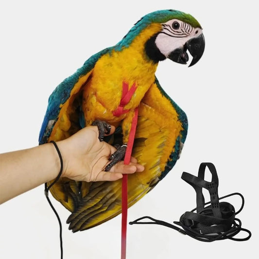 Adjustable Bird Harness with 78.7 Inch Leash, Outdoor Flying Training Rope Kit for Bird Parrots, Parrot Flying Rope Straps Outdoor Training Traction Rope for Small Medium Large Size Birds (L)