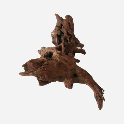 LYPHARD AQUARIUMS Natural Driftwood for Aquarium Decor, L16.14×W12.2×H8.66 Inches Large Drift Wood Decorations for Reptile Hide, Fish Tank, Optional Shapes
