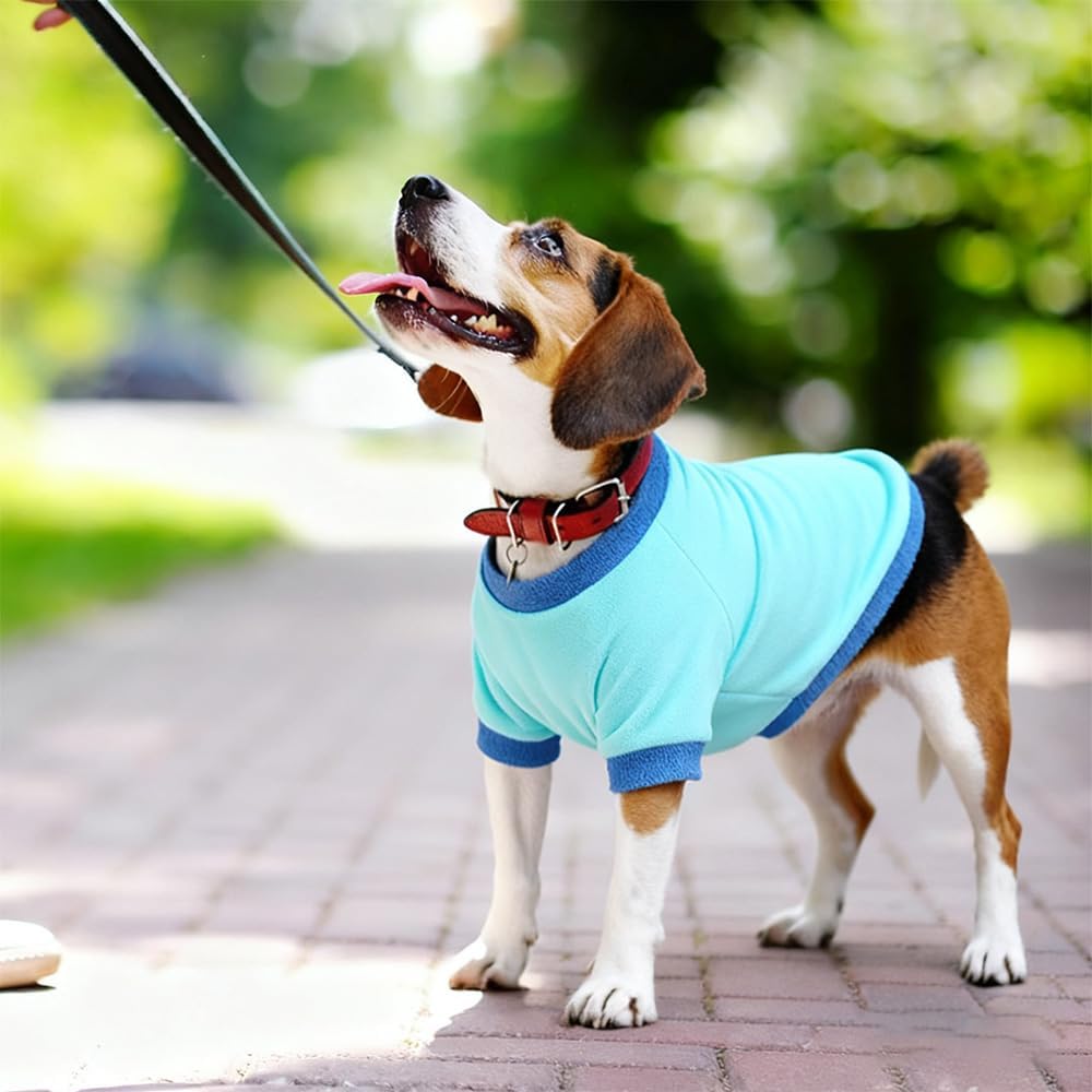 GreenJoy Classic Fleece Dog Sweater – Soft & Warm Stretchy Sweatshirt for Small Dogs & Cats, Cold-Weather Pullover for Everyday Wear (Light Blue, Large)