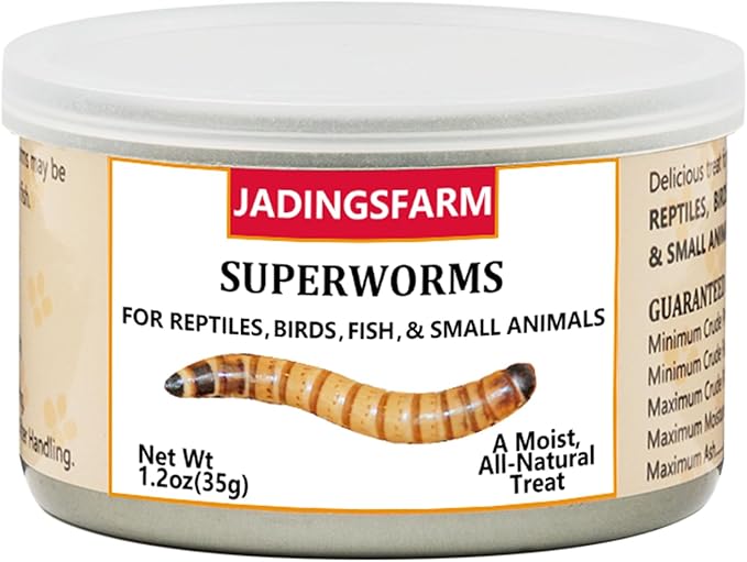 6 Pack Canned Superworms for Reptiles, Fish, Birds and Small Animals, Super Worms, Healthy High Protein Treat for Reptile Bird Fish Food 7.2 Ounces Total