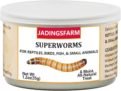 6 Pack Canned Superworms for Reptiles, Fish, Birds and Small Animals, Super Worms, Healthy High Protein Treat for Reptile Bird Fish Food 7.2 Ounces Total