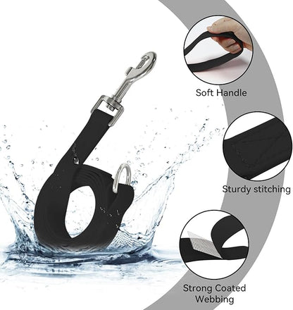 Waterproof Dog Leash, 5/6 FT Durable Odor-Proof Dog Leashes with Strong Metal Hooks Fits Small Medium or Large Dogs (Black, 6FT - 1 inch Width)