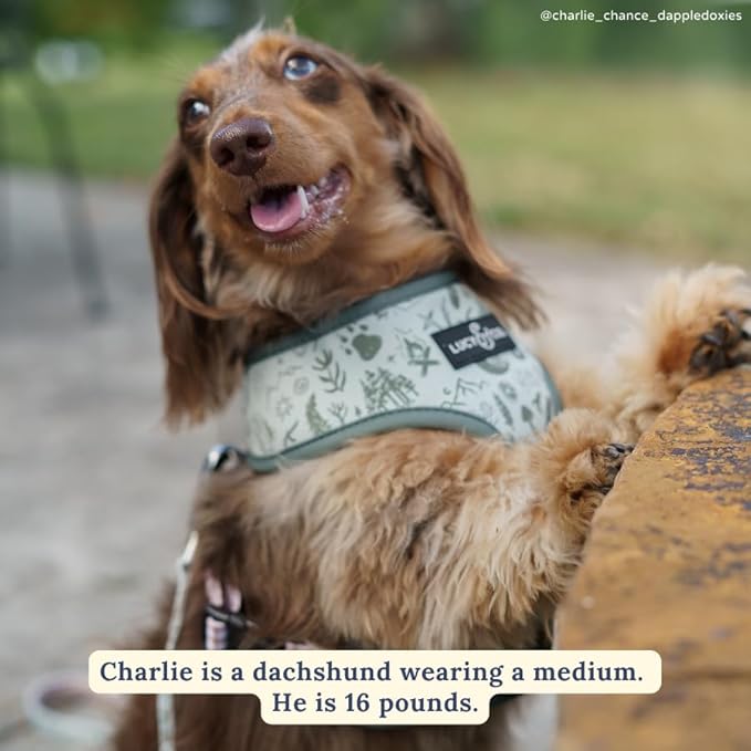 Lucy & Co. Cute Reversible Dog Harness Walking Halter - Best Designer Pet Harnesses for XS - XL Dogs - Padded Adjustable Vest for Easy Walking-Large-Green Outdoor Plaid