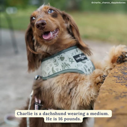 Lucy & Co. Cute Reversible Dog Harness Walking Halter - Best Designer Pet Harnesses for XS - XL Dogs - Padded Adjustable Vest for Easy Walking-Large-Green Outdoor Plaid