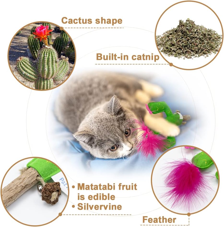 PAZ'S GIFT Catnip Toys - Cat Kick & Rope Toys for Indoor Play, Cat & Kitten Teething Chew Toys for Aggressive Chewing & Teeth Cleaning (Polygonum tinctorium Cactus)