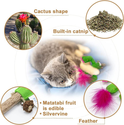 PAZ'S GIFT Catnip Toys - Cat Kick & Rope Toys for Indoor Play, Cat & Kitten Teething Chew Toys for Aggressive Chewing & Teeth Cleaning (Polygonum tinctorium Cactus)
