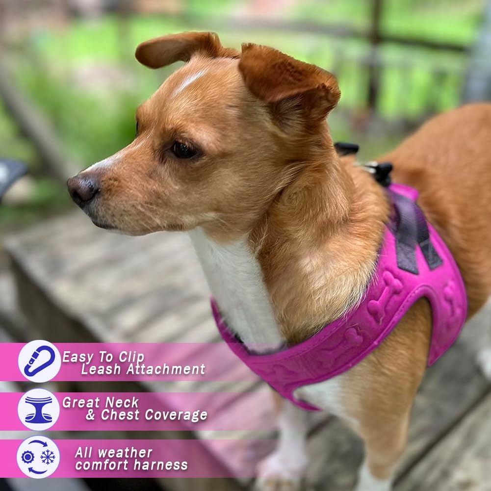 Comfort fit Step-in Dog & Puppy Harness - Comfortable All Weather Dog Vest Harness: Adjustable, Soft Padded, Easy to Put-on for Small, Medium-Sized Dogs.