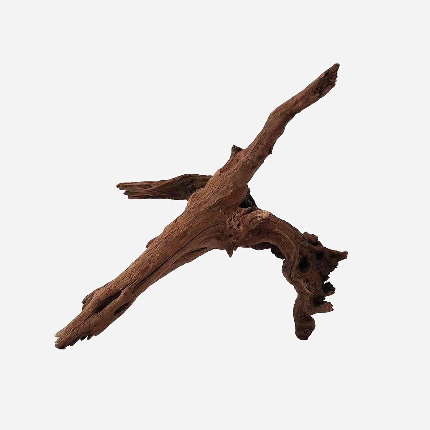 LYPHARD AQUARIUMS Natural Driftwood for Aquarium Decor, L16.14×W14.17×H12.2 Inches Large Drift Wood Decorations for Reptile Hide, Fish Tank, Optional Shapes