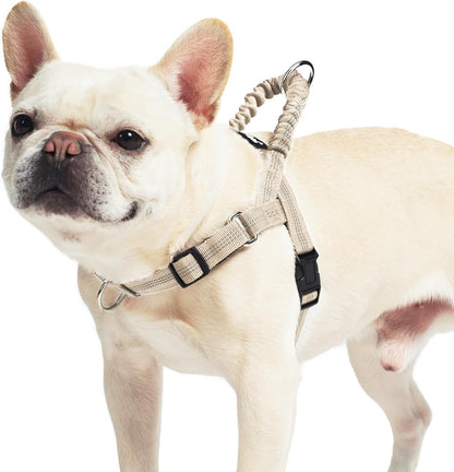 PUPTECK No Pull Dog Harness Small Sized Dog, Adjustable Reflective Pet Vest Harness with Bungee Handle, Escape Proof No Choke Harness for Small Dogs Walking Training, Beige S