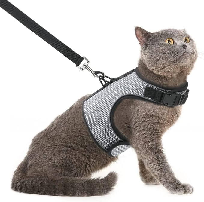 PUPTECK Soft Mesh Cat Vest Harness and Leash Set Puppy Padded Pet Harnesses Escape Proof for Cats Small Dogs