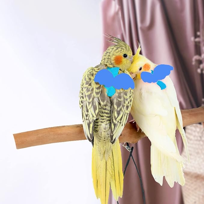 Dnoifne Pet Parrot Bird Harness and Leash, Adjustable Training Design Anti-Bite, Bird Nylon Rope with Cute Wing for Parrots, Suitable for Scarlet, Keck, Mini Macaw and Same Size Birds (Light Blue)