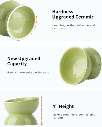 Cat Water Bowl, 16 OZ Ceramic Elevated Cat Bowls, 15° Tilted and Raised Pet Food Dish, Anti Vomiting Protect Pets' Spines and Whisker Fatigue