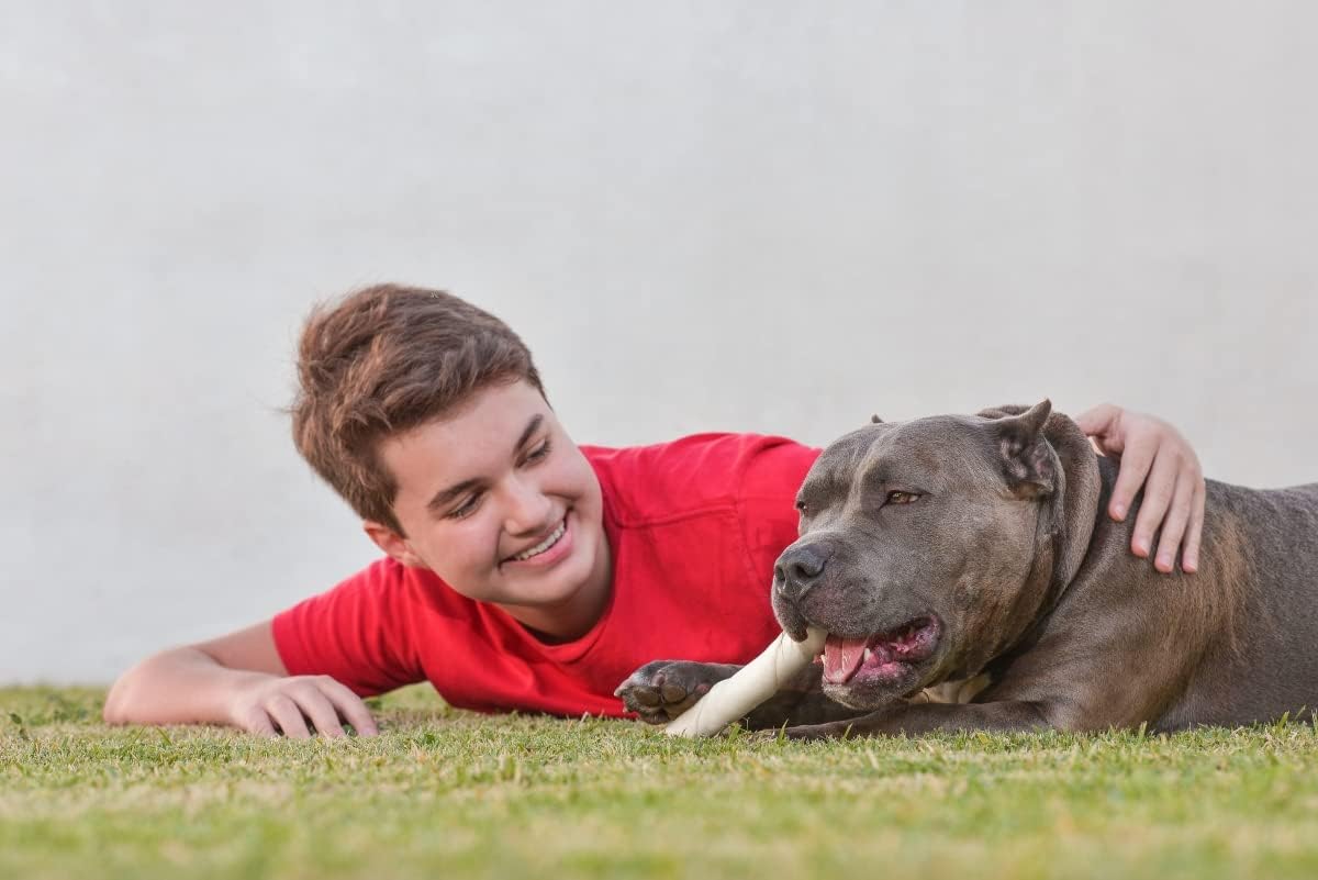 Cowdog Chews Retriever Roll 9-10 inch All Natural Rawhide Dog Treat (3 Pack)