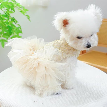 ANIAC Small Dog Dresses,Girl Puppy Princess Tutu Dress with Bow Knot,Cat Outfit,Chihuahua Yorkie Clothes for Birthday Wedding (Medium, GL)