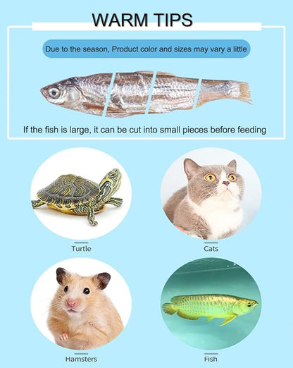 7 OZ Dried River Fish - 100% Natural Food for Turtles, Terrapins, Cats, Reptiles, Large Tropicals,Rodents