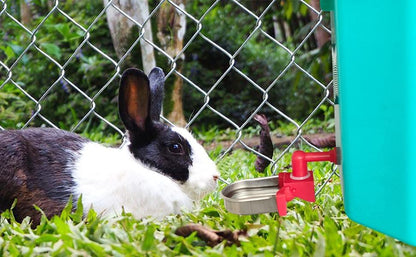 Metal Rabbit Chicken Water Cup Chicken Kettle DIY Chicken Small Hamster Guinea Pig Rabbit (red, 3)